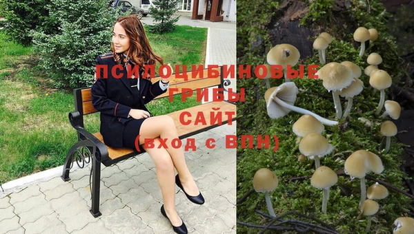 круглые Покачи