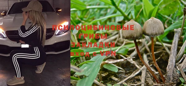 spice Покровск